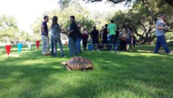 Private Event Venue near San Antonio TX