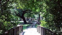 Wooden bridge leading to a sunlit path through dense trees and greenery in a park, with buildings visible in the background.